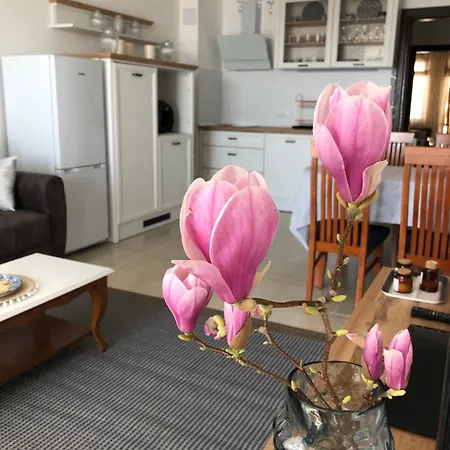 Apartamento 2 Bedroom With 2 Balconies And Sea Views