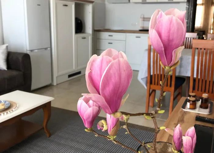 Апартамент 2 Bedroom With 2 Balconies And Sea Views